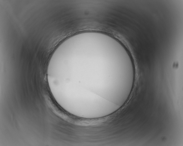 X0000115650017200912221340
