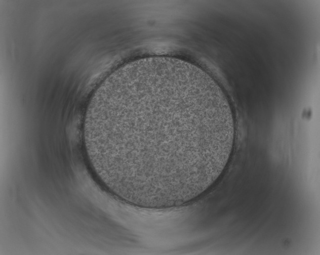 X0000115650018200912221340