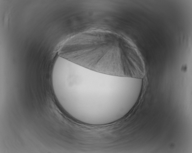 X0000115650019200912221340