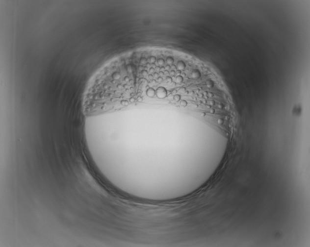 X0000115650020200912221340