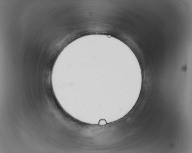 X0000115650021200912221340