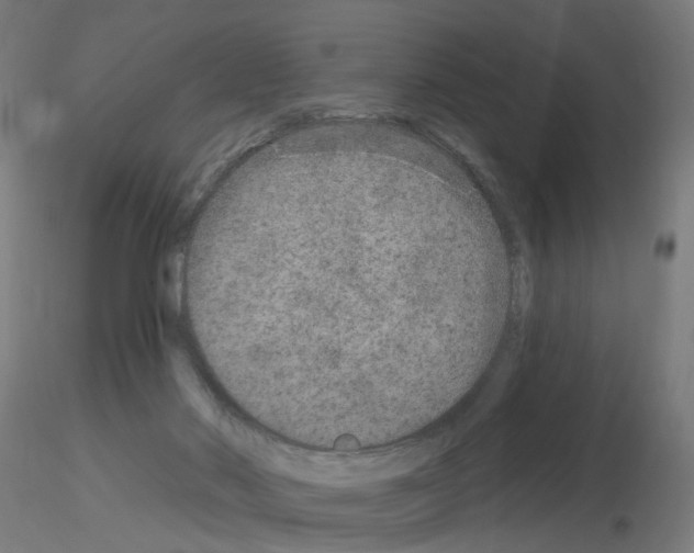 X0000115650022200912221340