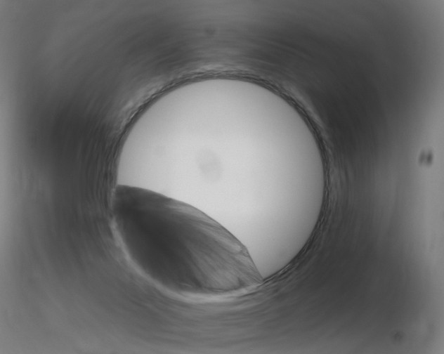 X0000115650023200912221340