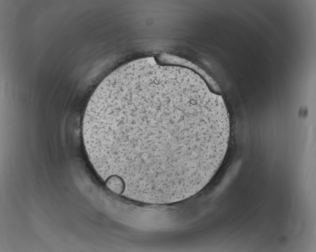 X0000115650024200912221340