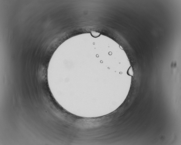 X0000115650025200912221340