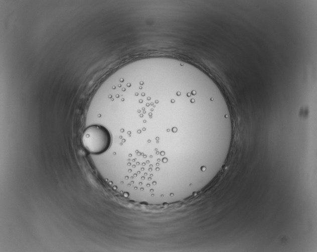X0000115650026200912221340