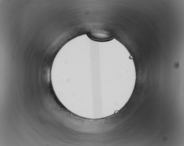 X0000115650027200912221340