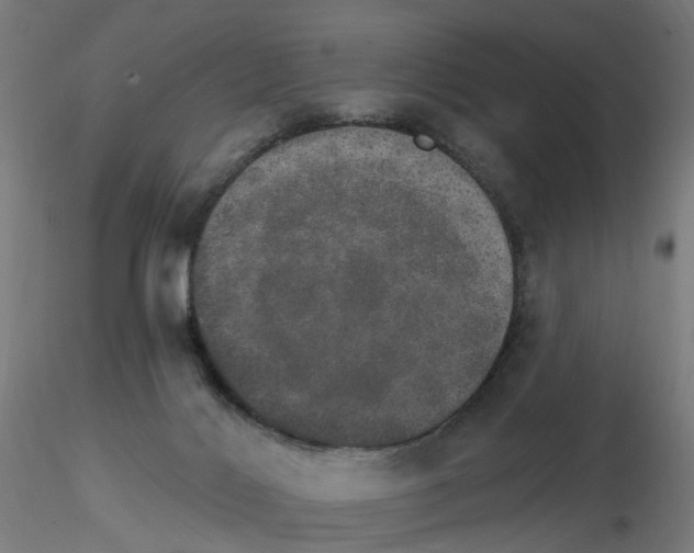 X0000115650028200912221340