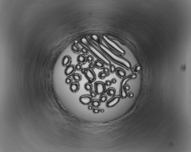 X0000115650029200912221340