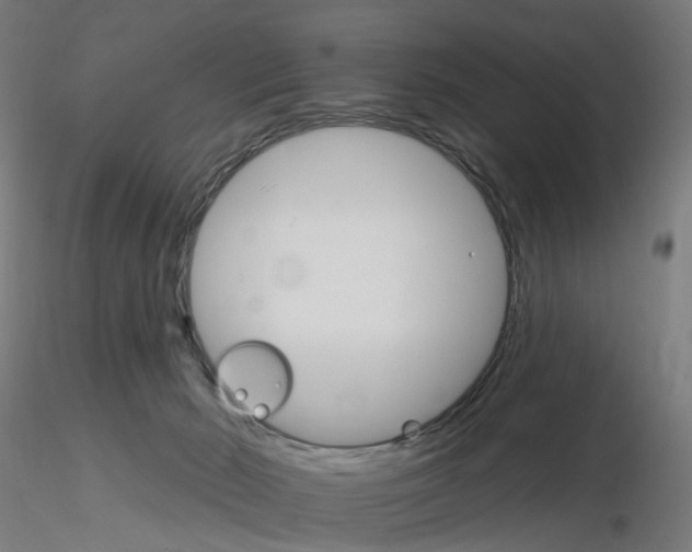 X0000115650030200912221340