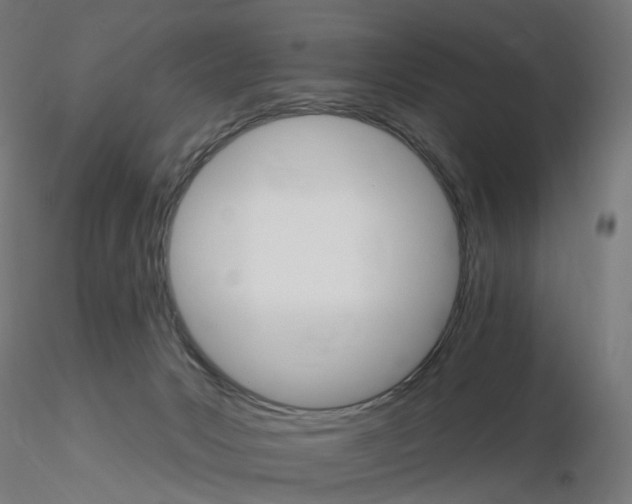 X0000115650031200912221340