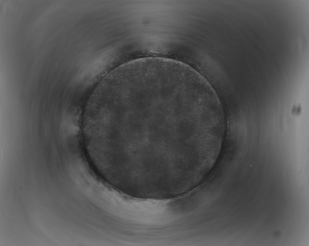 X0000115650032200912221340
