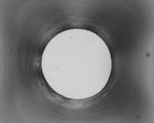 X0000115650033200912221340