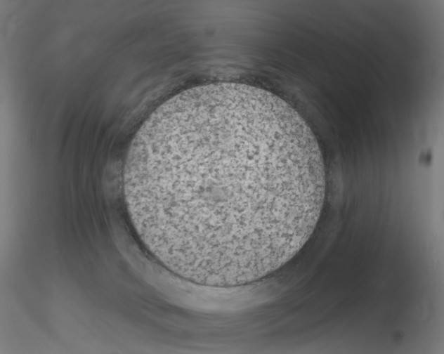X0000115650034200912221340