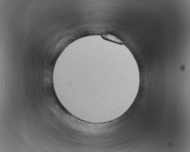 X0000115650035200912221340