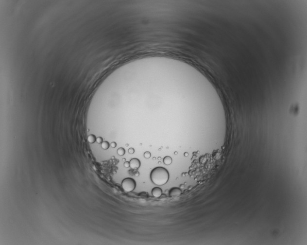 X0000115650036200912221340