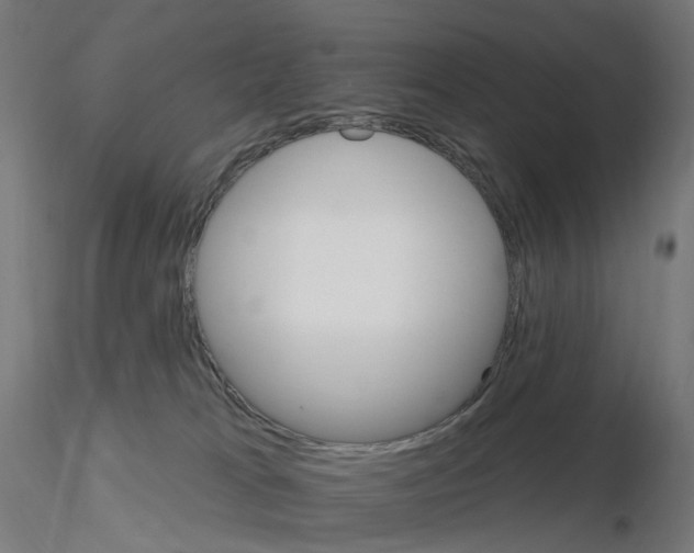 X0000115650037200912221340