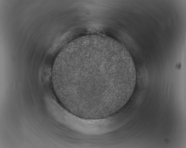 X0000115650038200912221340