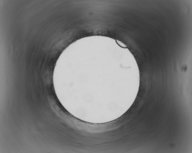 X0000115650039200912221340