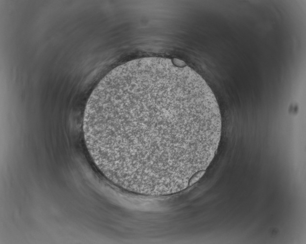 X0000115650040200912221340