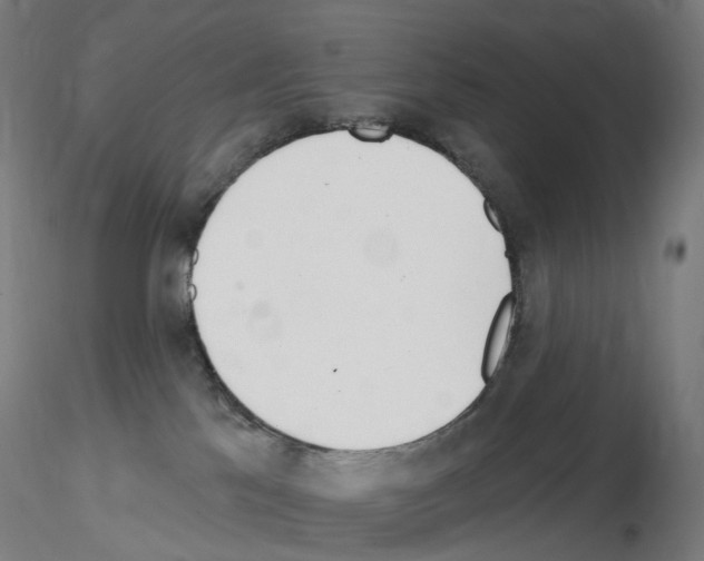 X0000115650041200912221340