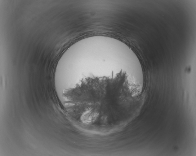X0000115650042200912221340