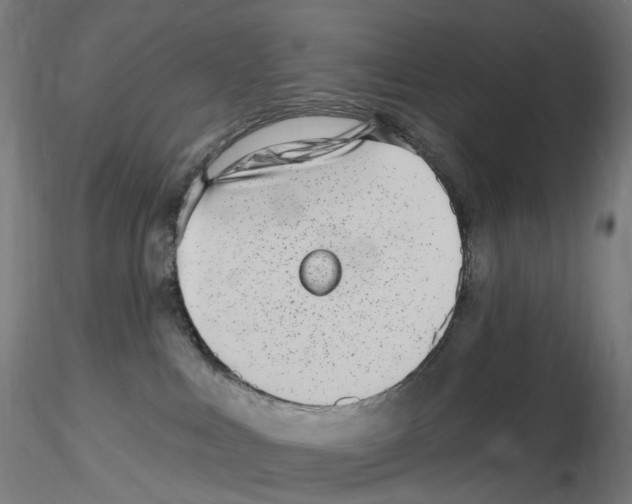 X0000115650043200912221340