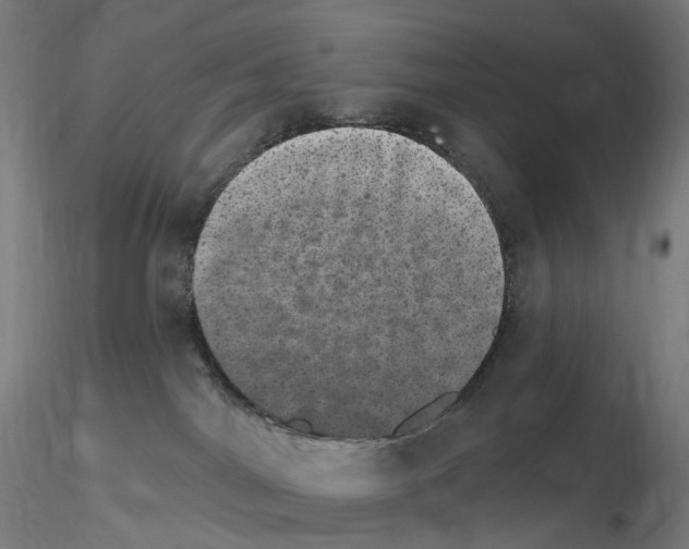 X0000115650044200912221340