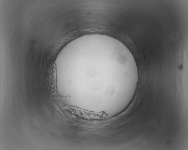 X0000115650045200912221340