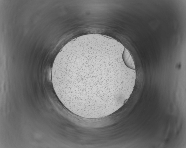 X0000115650046200912221340