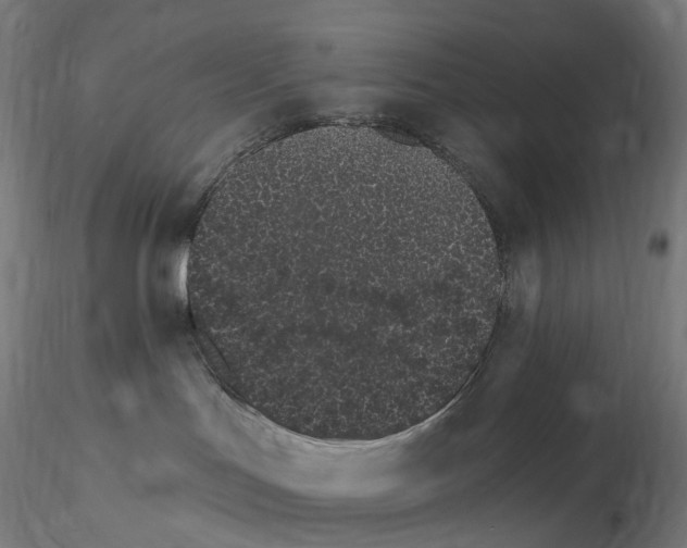 X0000115650047200912221340