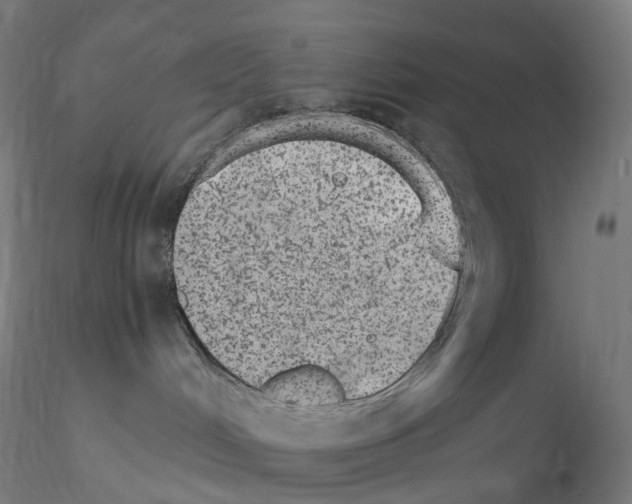 X0000115650048200912221340