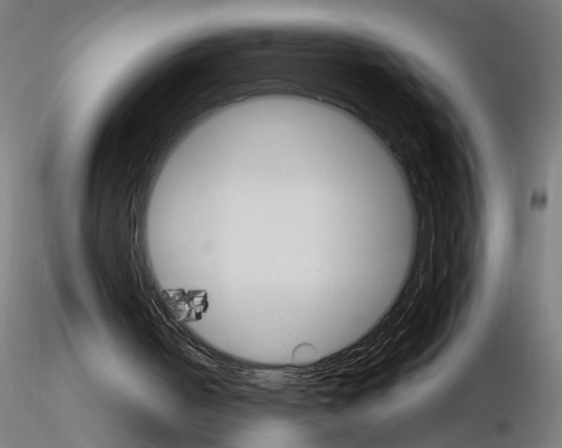 X0000115650050200912221339