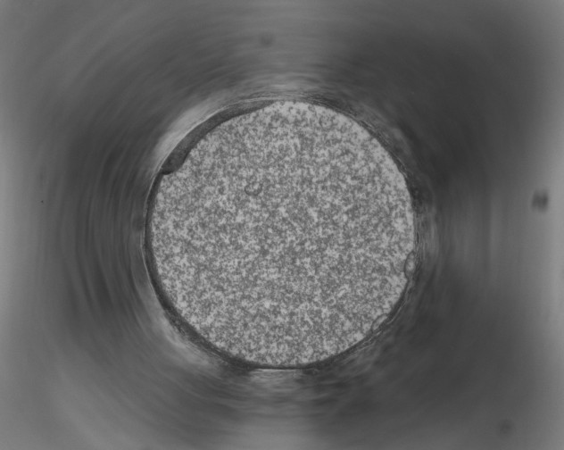 X0000115650051200912221339