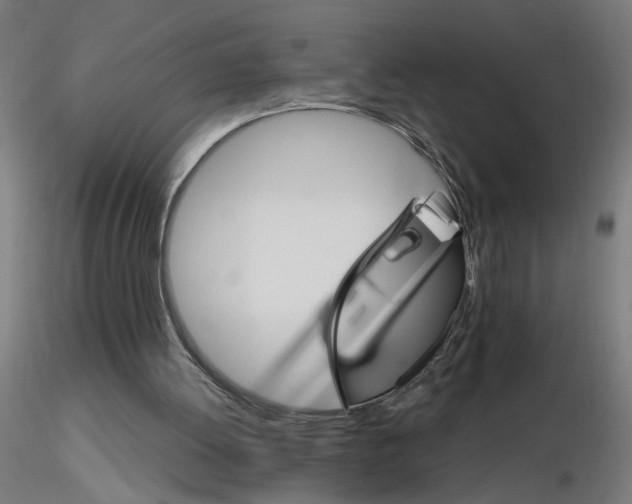 X0000115650052200912221339