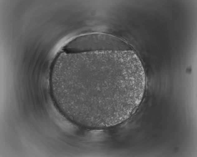 X0000115650054200912221339