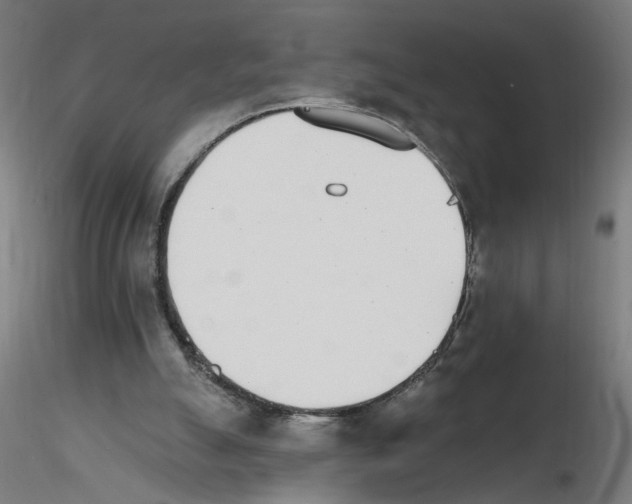 X0000115650055200912221339