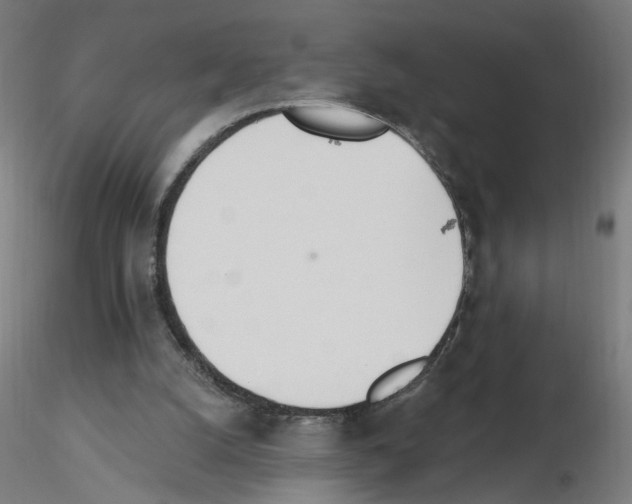X0000115650056200912221339