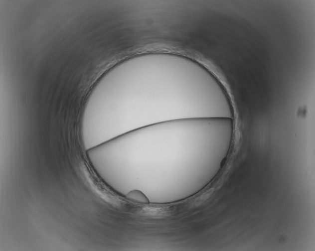 X0000115650057200912221339