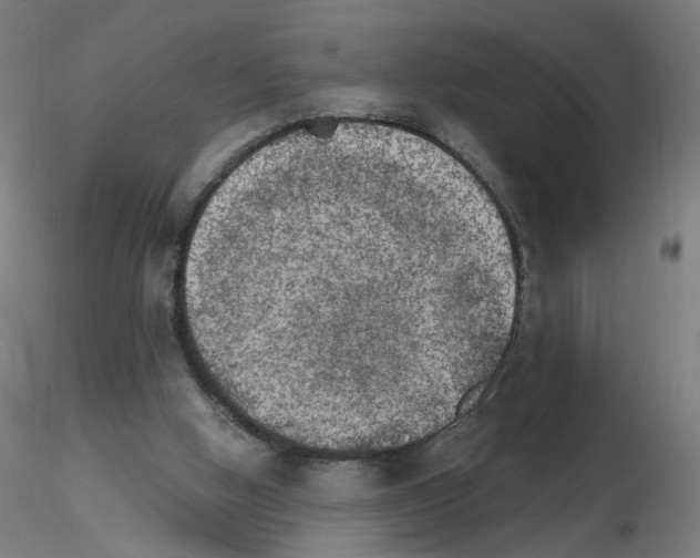X0000115650058200912221339