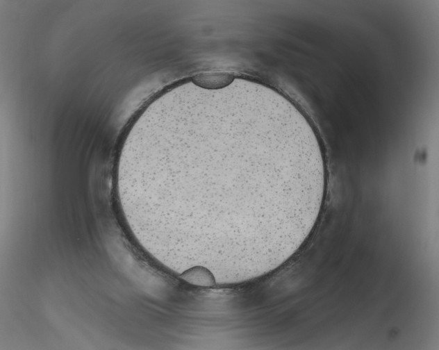 X0000115650059200912221339