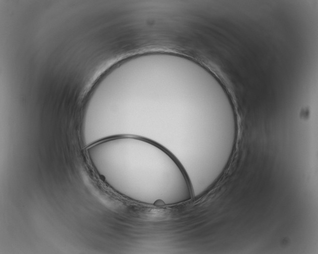 X0000115650060200912221339