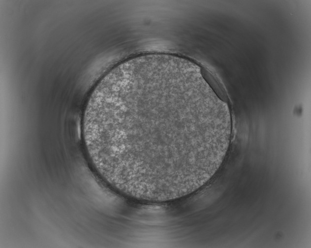 X0000115650061200912221339