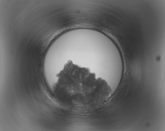 X0000115650062200912221340