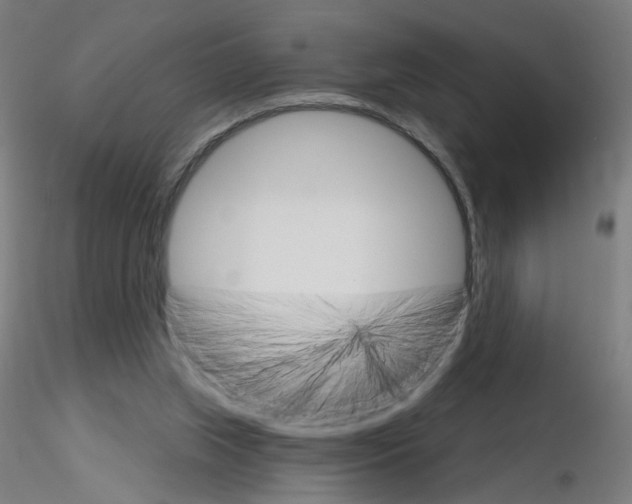 X0000115650063200912221340