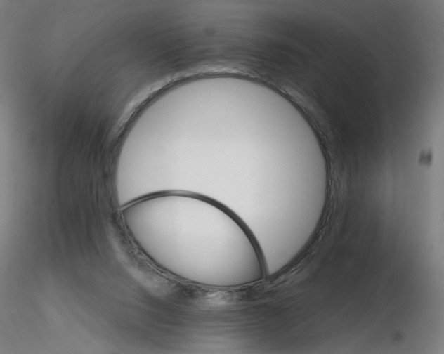 X0000115650064200912221340
