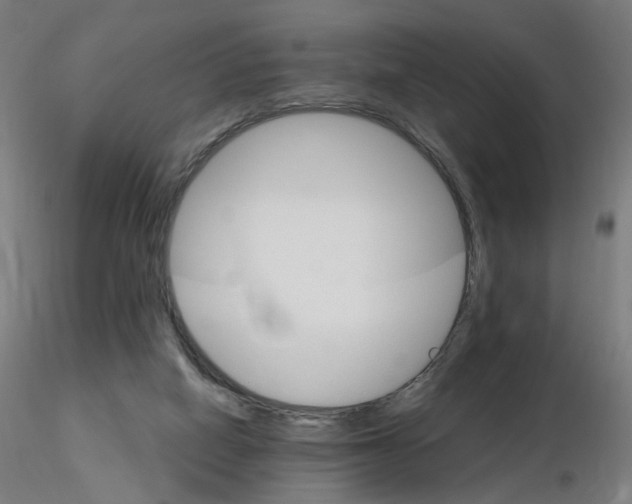 X0000115650066200912221340