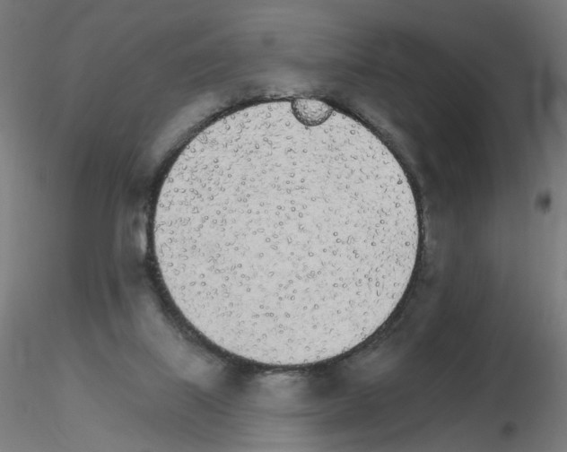 X0000115650067200912221340