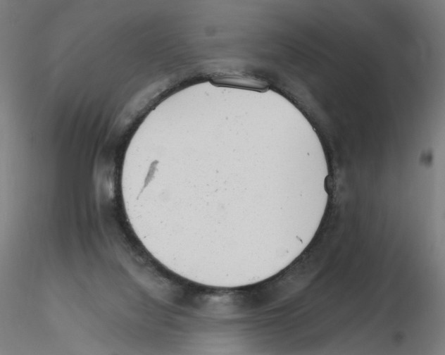 X0000115650068200912221340