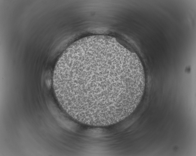 X0000115650069200912221340